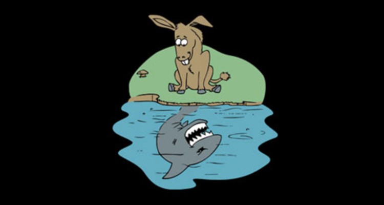 rule-shark-post